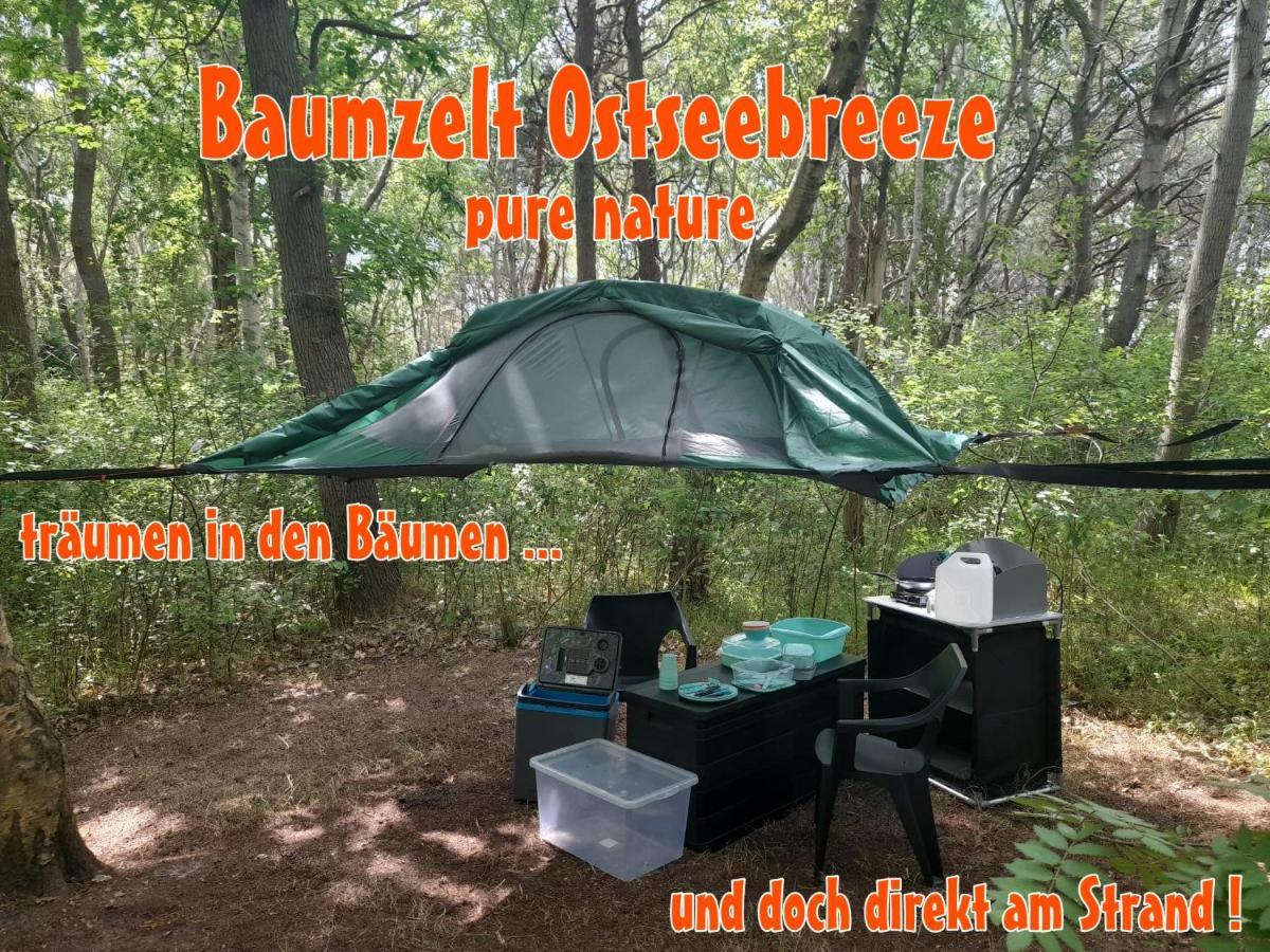 דראנסקה Baumzeltdorf Ostseebreeze Direkt Am Strand מראה חיצוני תמונה