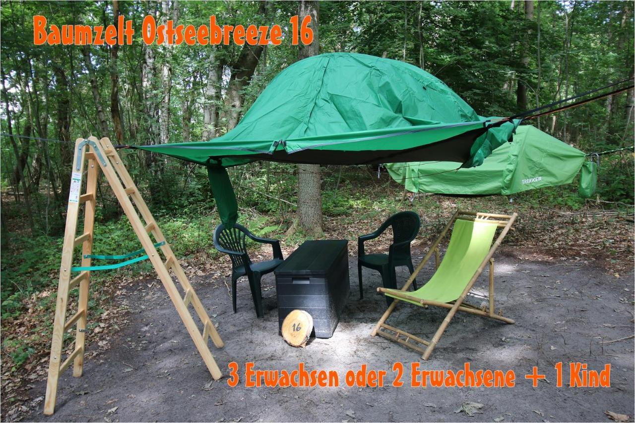 דראנסקה Baumzeltdorf Ostseebreeze Direkt Am Strand מראה חיצוני תמונה
