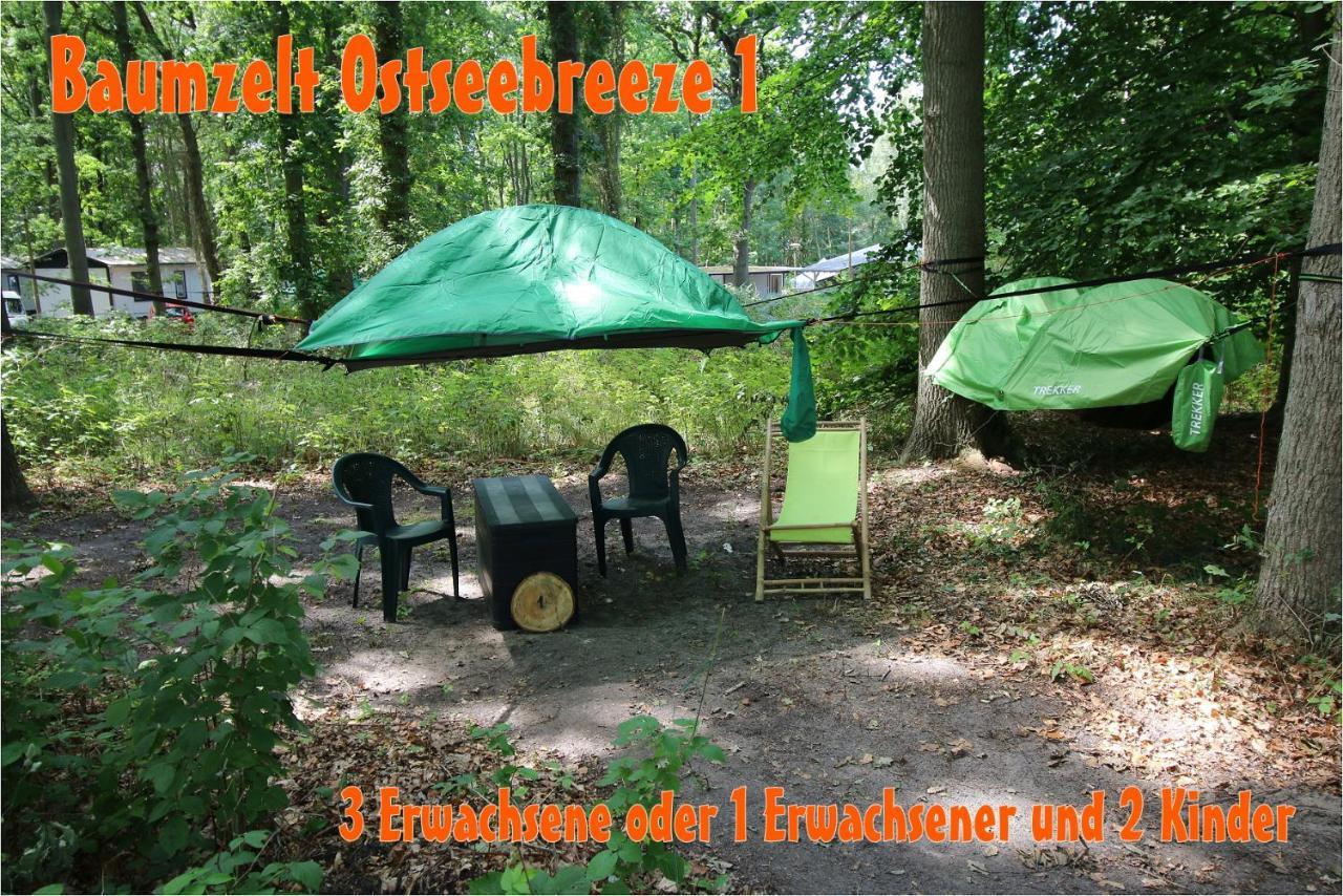 דראנסקה Baumzeltdorf Ostseebreeze Direkt Am Strand מראה חיצוני תמונה