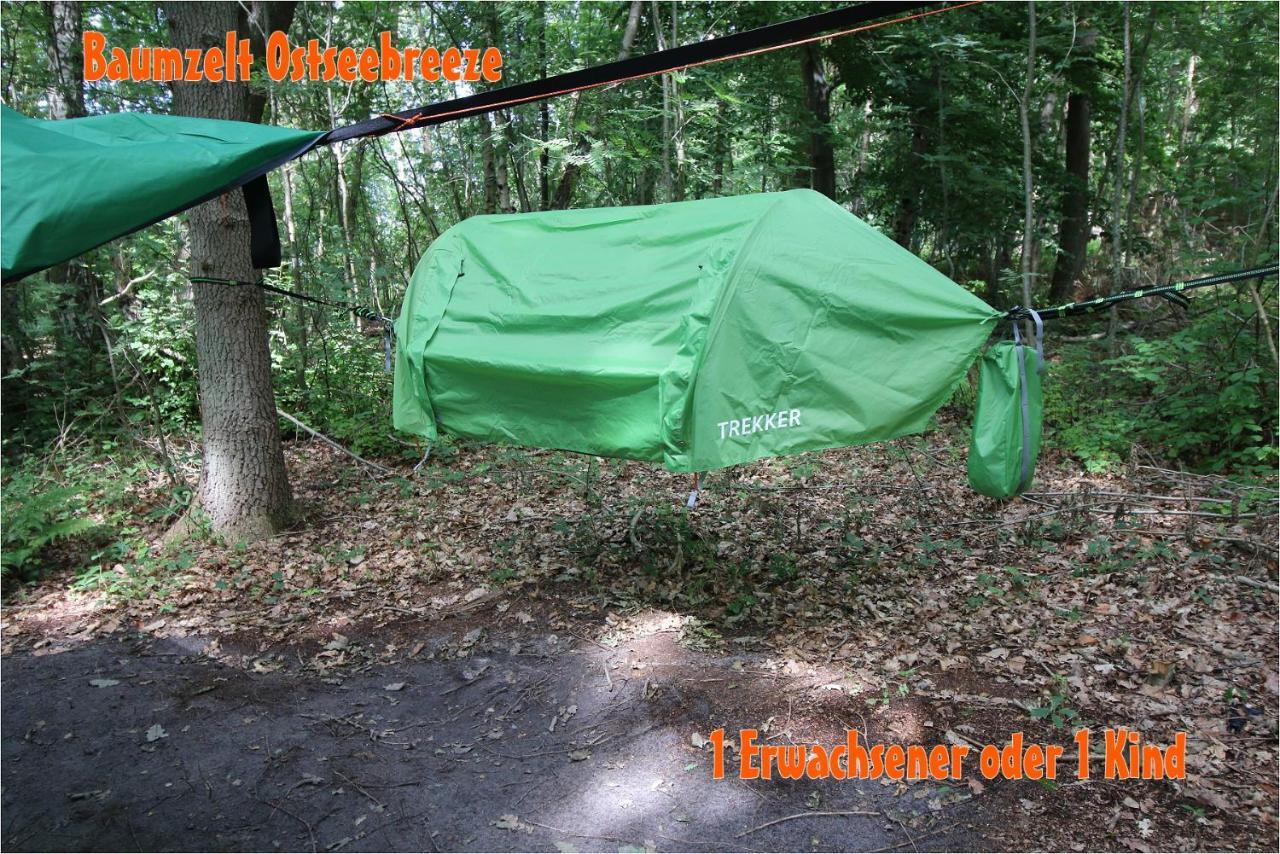 דראנסקה Baumzeltdorf Ostseebreeze Direkt Am Strand מראה חיצוני תמונה